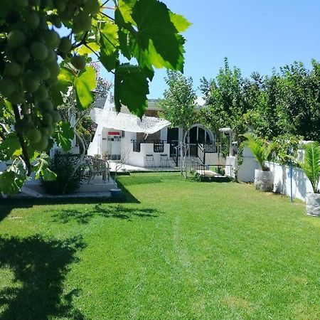 Villa Dina Chania  Ngoại thất bức ảnh