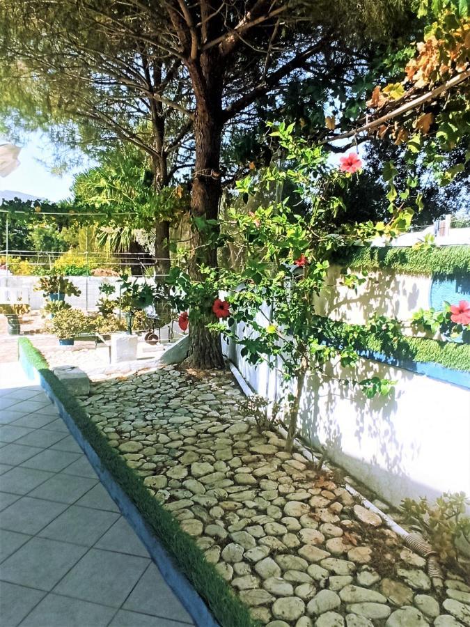 Villa Dina Chania  Ngoại thất bức ảnh